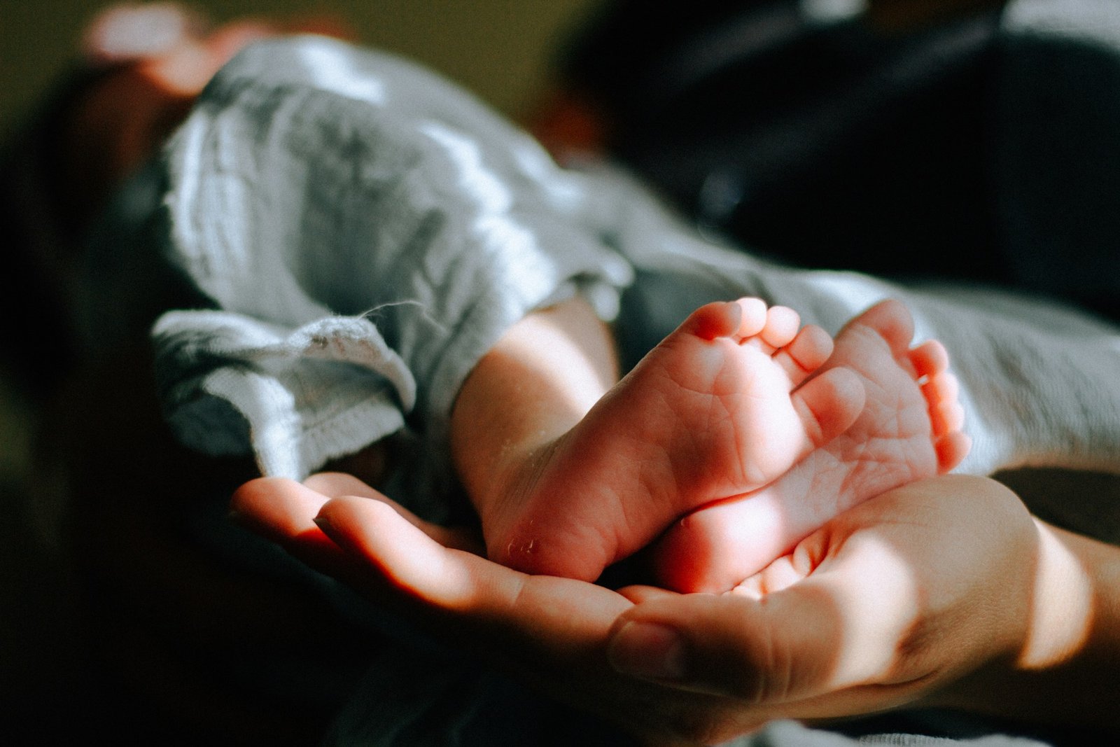 A baby's feet resting in an adult hand in soft window light